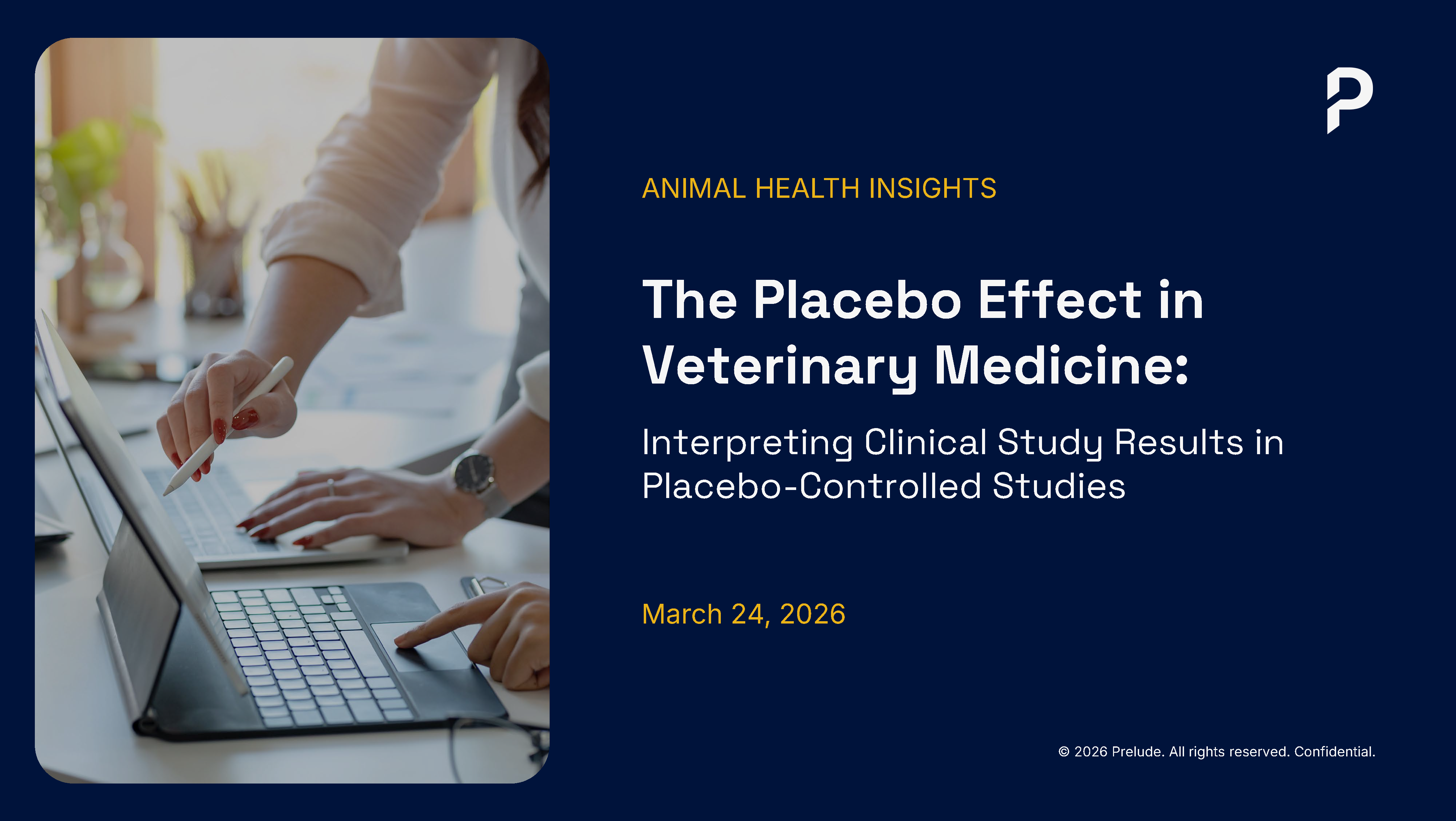 The Placebo Effect in Veterinary Medicine | Animal Health Insights